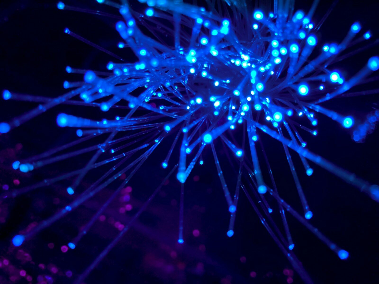 Faisceau de fibres optiques